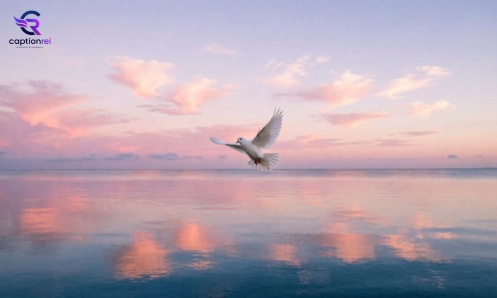🕊️ Peace Captions For Instagram